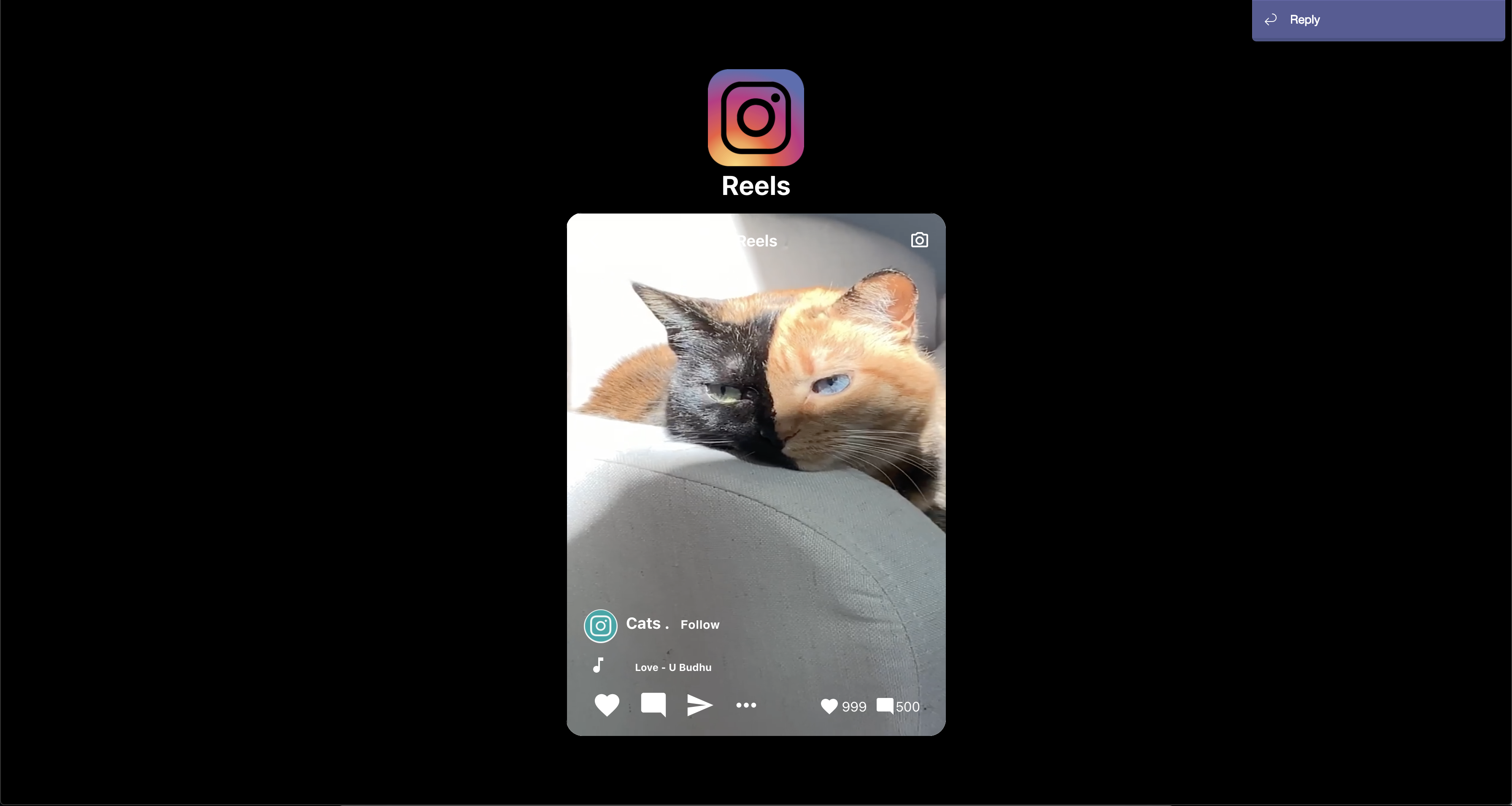 Instagram Reels Clone